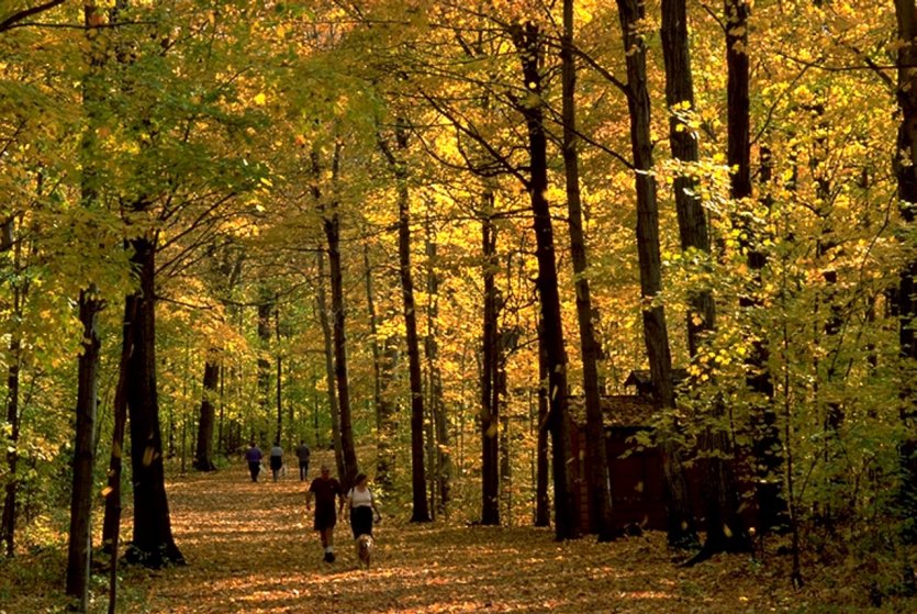 Arboretum Morgan, Montréal. - © Arboretum Morgan