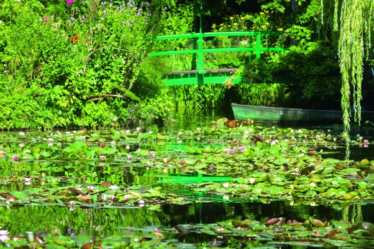 - © Eric Sander - Fondation Claude Monet