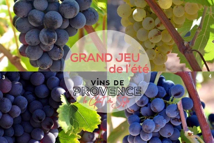- © Vins de Provence