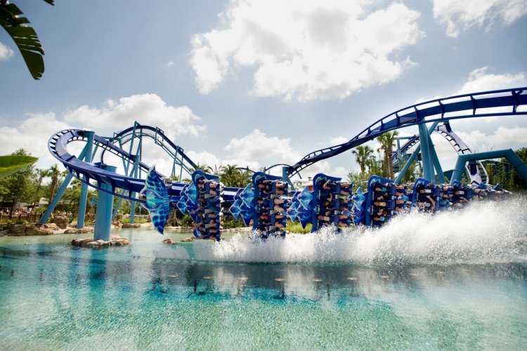 - © Sea World