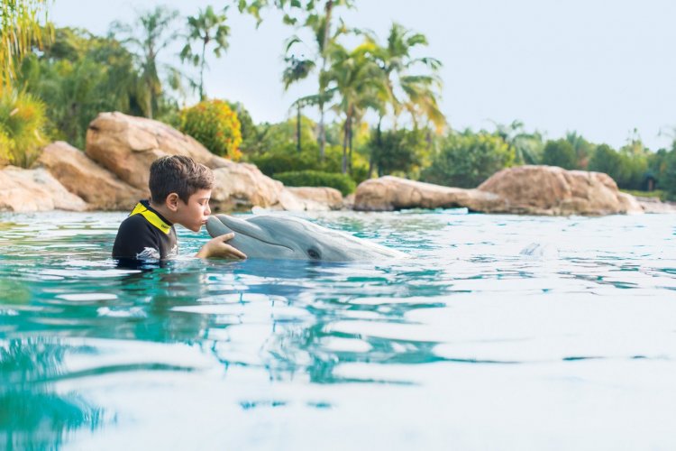 - © Discovery Cove