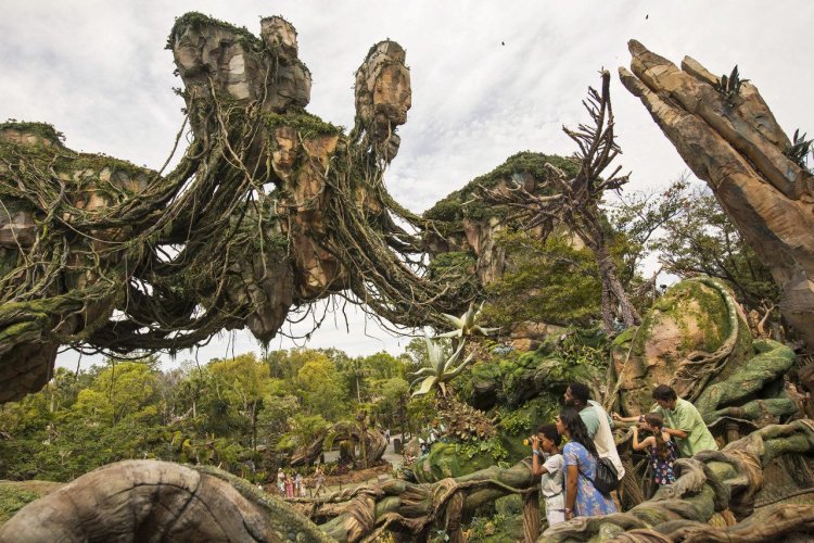 - © David Roark_Courtesy Walt Disney World Resort