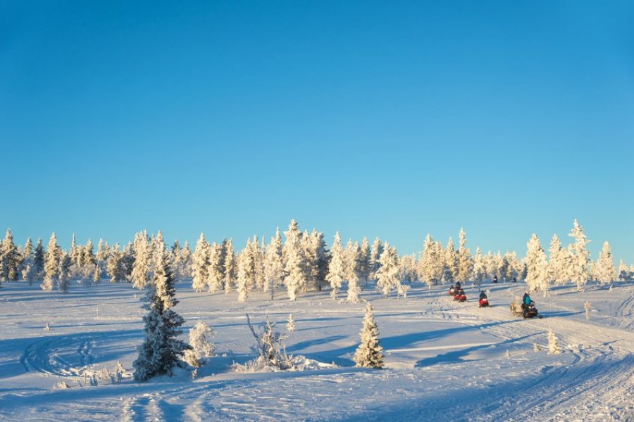 L'appel du grand nord : activités pour un voyage d'aventure au Canada