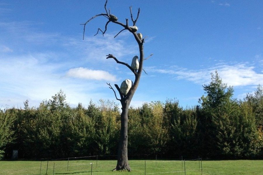 Giuseppe Penone au Château La Coste