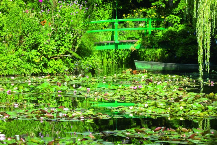 - © Eric Sander - Fondation Claude Monet