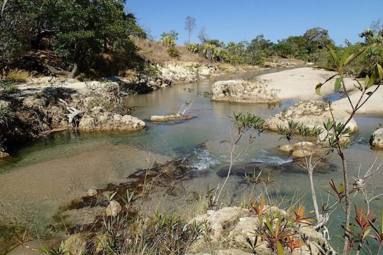 - © Aventure et découverte Madagascar