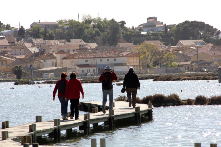Lagune Peyriac - © A. Boukenine
