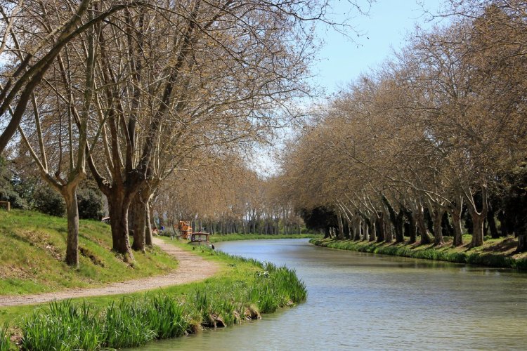 Canal du Midi - © A. Boukenine