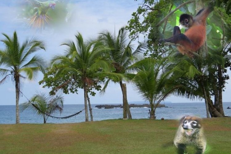 - © Vacances au Costa Rica