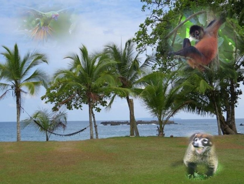 - © Vacances au Costa Rica