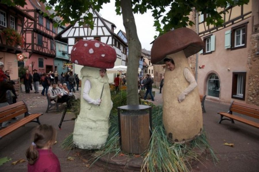 La 9ème Fête du Champignon à Eguisheim