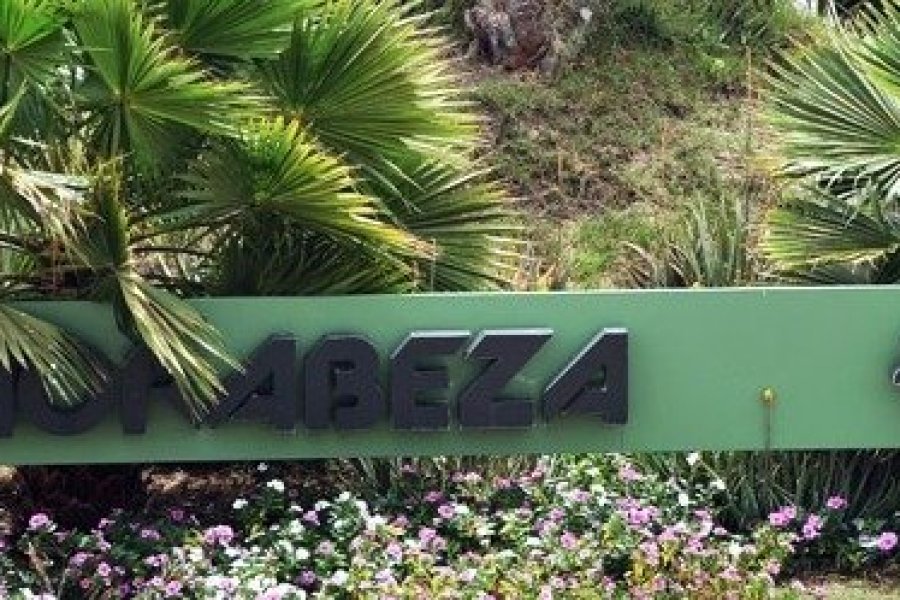 L'hôtel Morabeza, au Cap-Vert, fête ses 50 ans