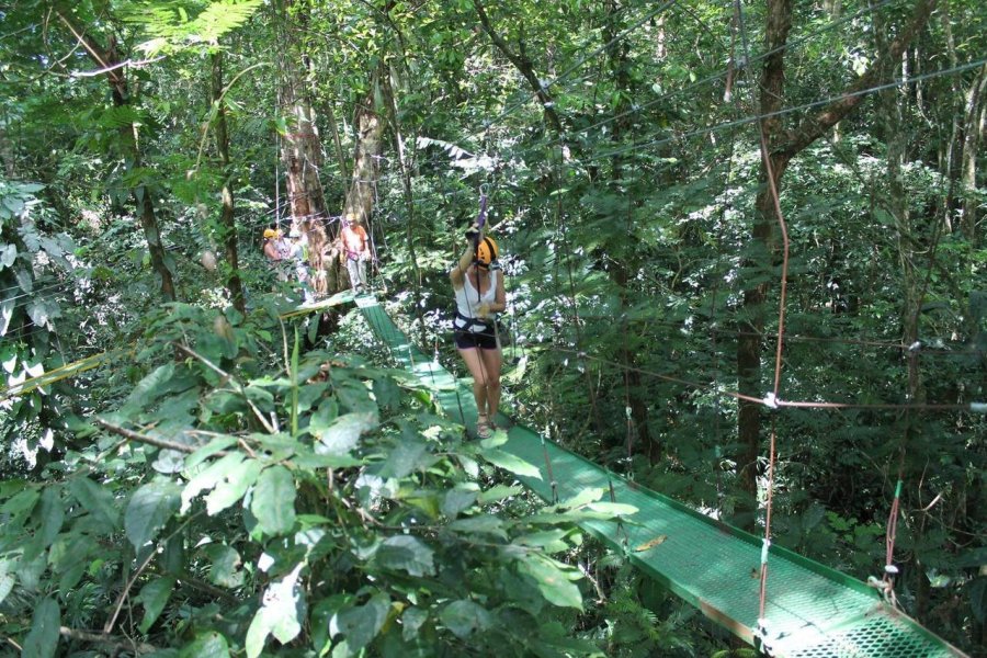 Costa Rica : pourquoi ne pas aller d'arbre en arbre en famille ?