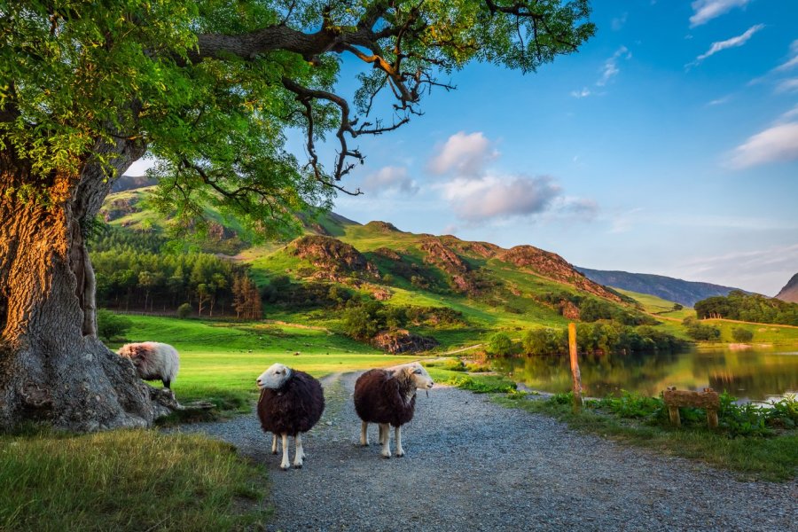 De l'Angleterre au pays de Galles, des routes aux mille surprises