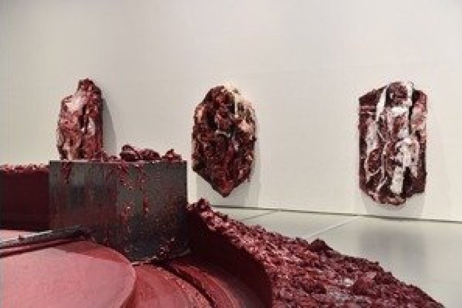 Anish Kapoor à Saint-Etienne