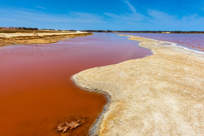 pink lake buggy tours