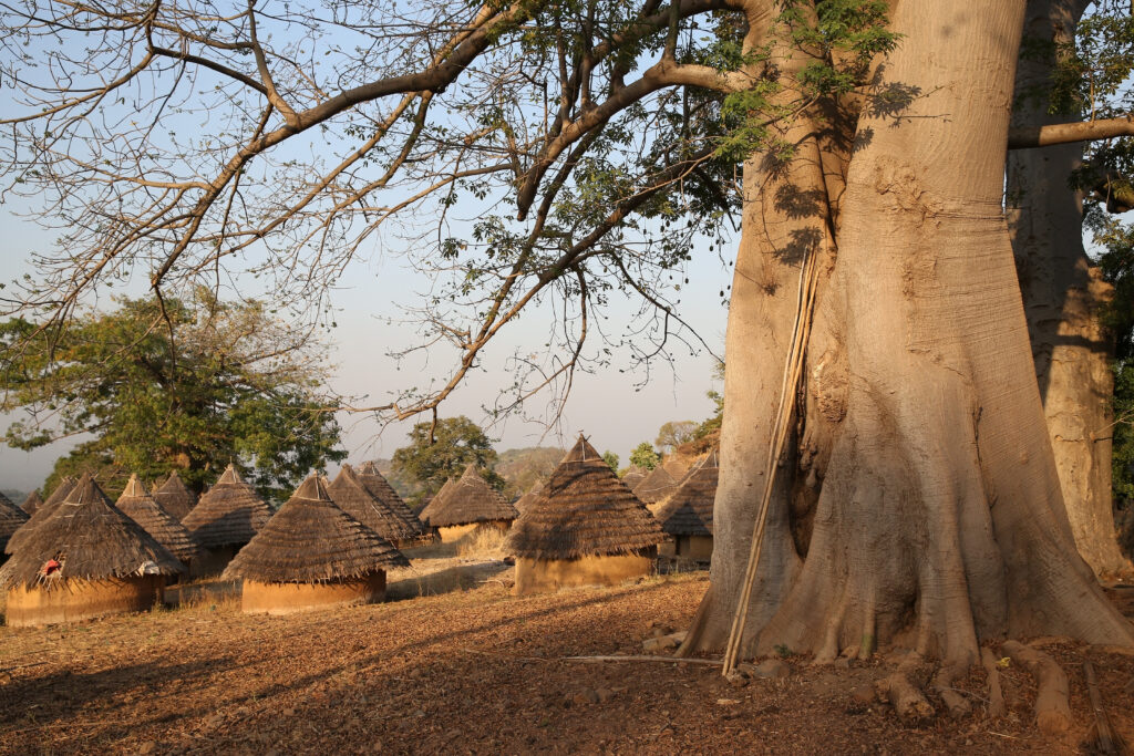 Village dans la région de Kédougou