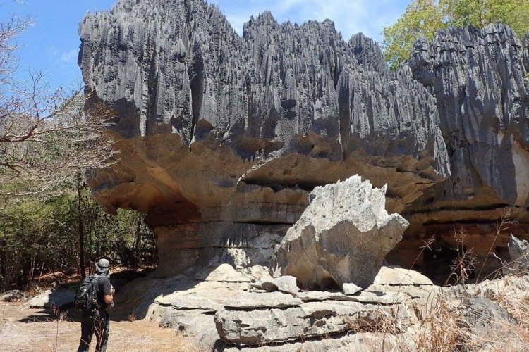 - © AVENTURE & DÉCOUVERTE MADAGASCAR