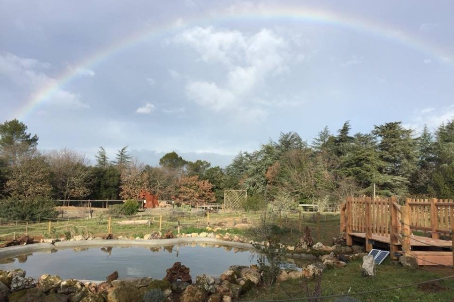 Le Jardin des Papillons rénové