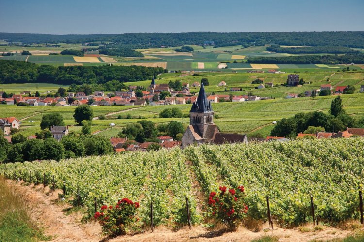 Les vignobles et les villages champenois - © Sylvain SONNET