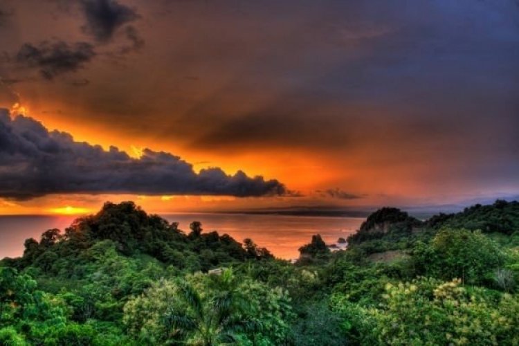 - © COSTA RICA DÉCOUVERTE