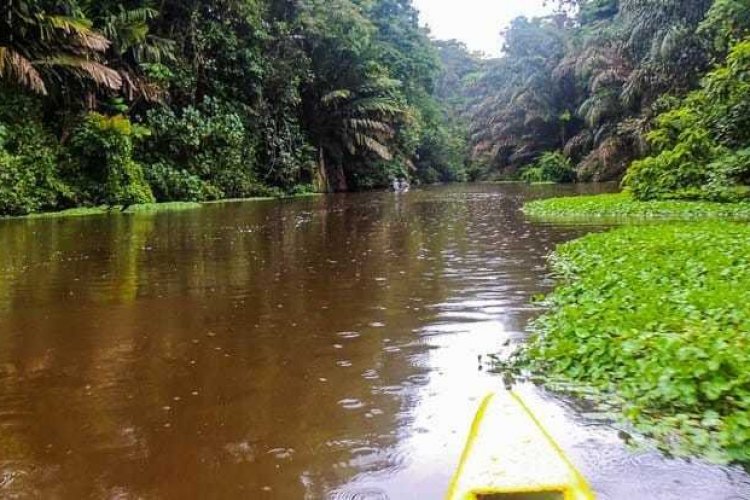 - © COSTA RICA DÉCOUVERTE