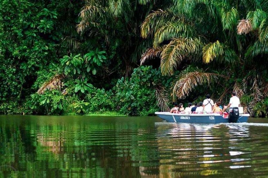 La zone de Tortuguero est un exemple à suivre au Costa Rica