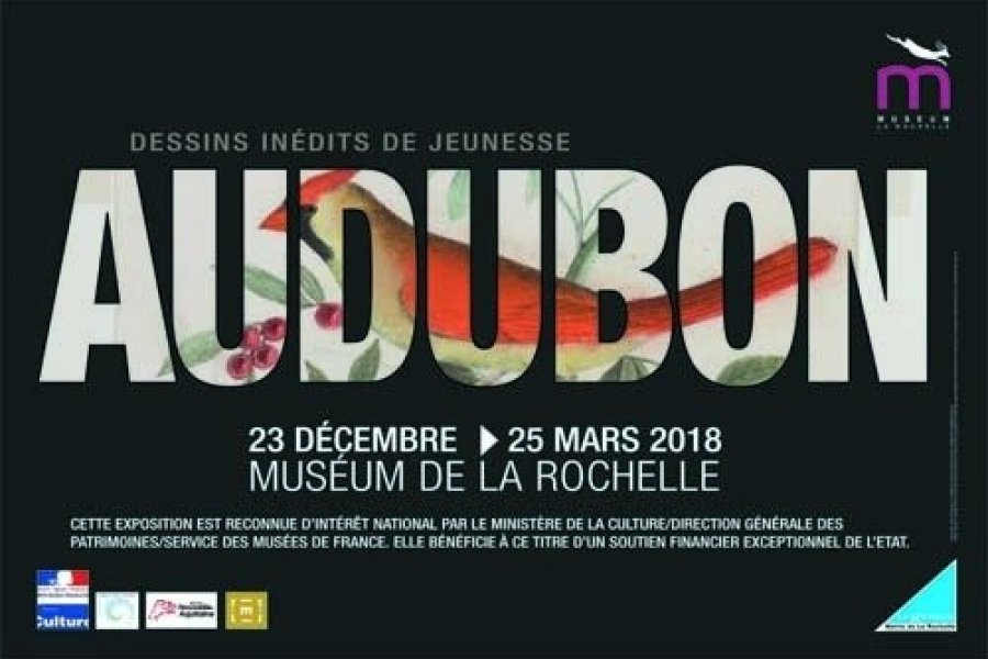 La Rochelle : une exposition exceptionnelle sur Jean-Jacques Audubon