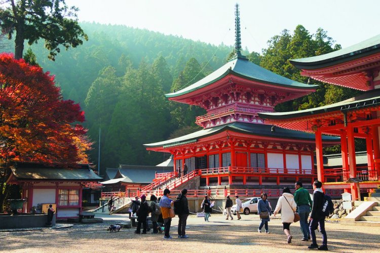 Shiga - Le Mont Hiei - © Masahiko Miyata