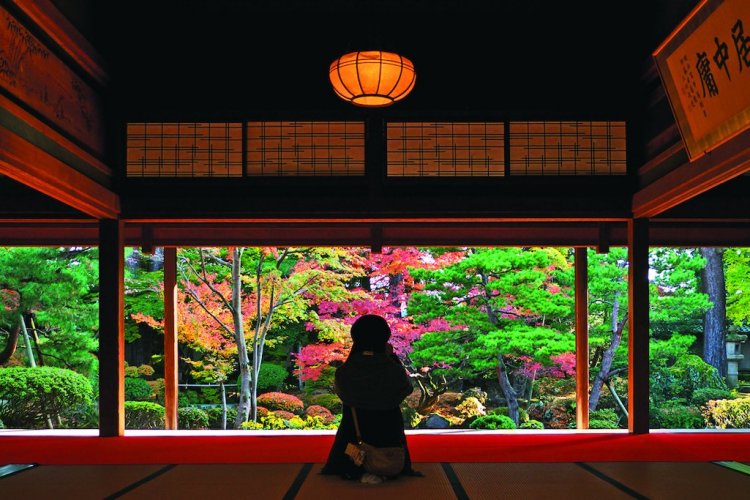 Tsuruoka et Niigata - Le jardin du Musée des cultures du Nord - © 2017 Niigata City