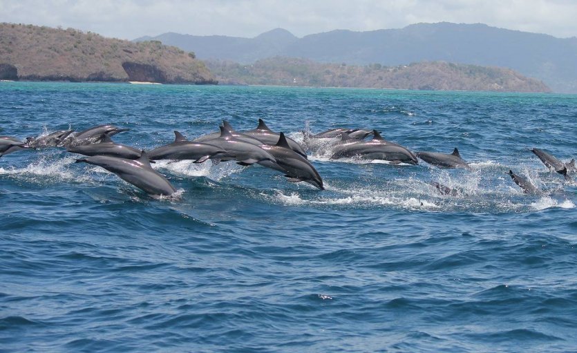 - © MAYOTTE DÉCOUVERTE