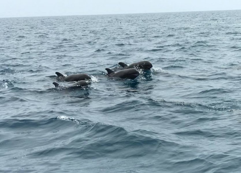 - © MAYOTTE DÉCOUVERTE