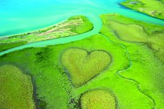 La Nouvelle-Calédonie, le printemps éternel