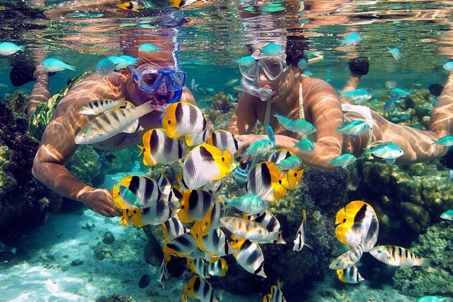 Découvrir la Polynésie naturelle et authentique, dans le lagon de Tahaa.