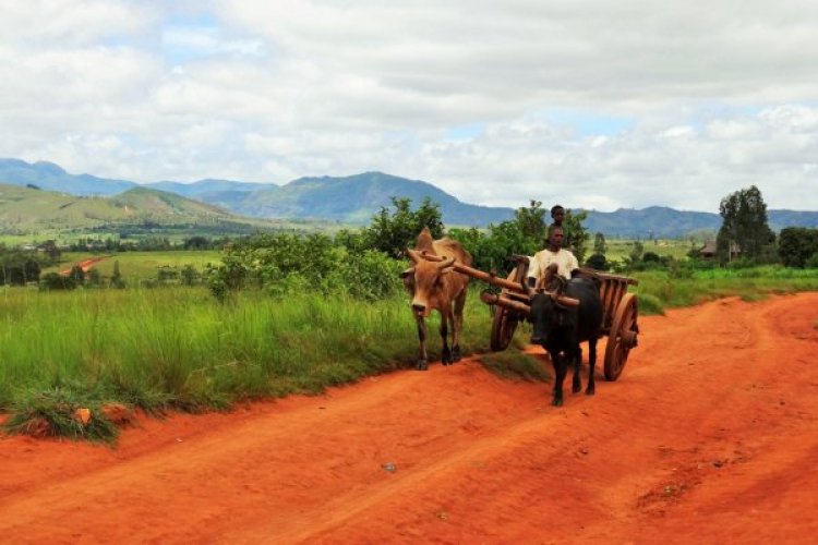 - © TOUR MALIN MADAGASCAR