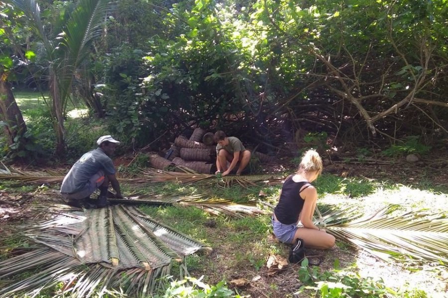 La protection des tortues mise à l'honneur au Jardin Maoré