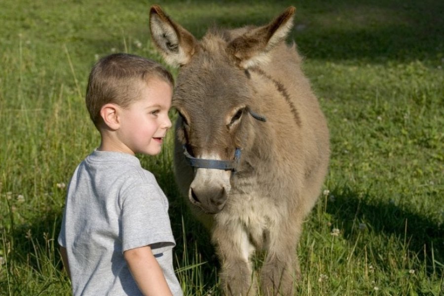 10 destinations pour découvrir la France avec des enfants