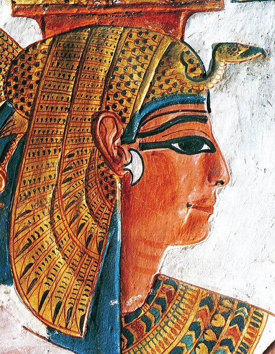 - © Musée de Tessé