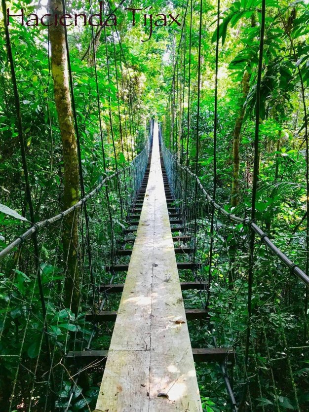 - © HACIENDA TIJAX - JUNGLE LODGE & MARINA