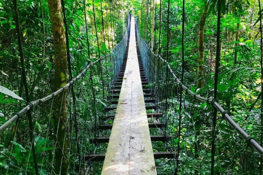 Guatemala : découvrez Río Dulce