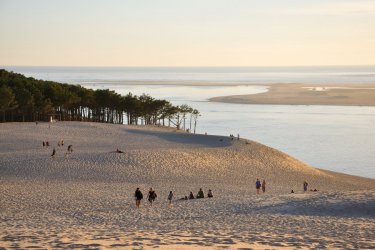 Le bassin d'Arcachon, paradis des huîtres et mythique Cap-Ferret