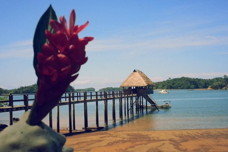- © Seagull Cove Resort