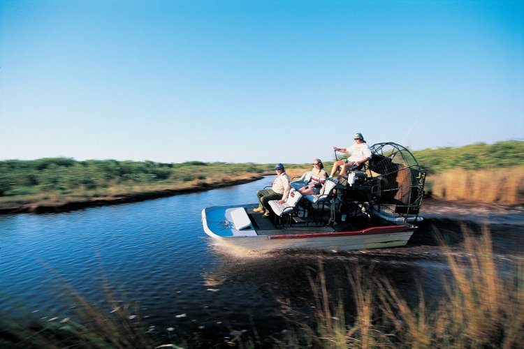 Dans les marais de l'Everglades National Park. - © John Frechet - Iconotec