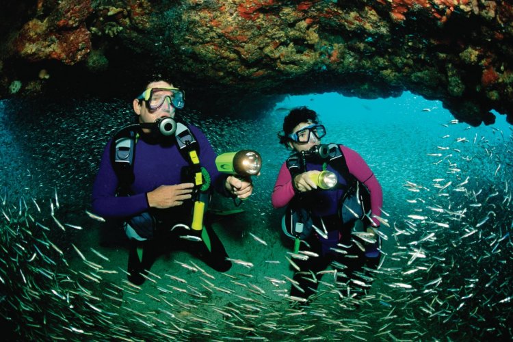 Plongée sous-marine, Key Largo. - © Stephen Frink / GO Free / GraphicObsession