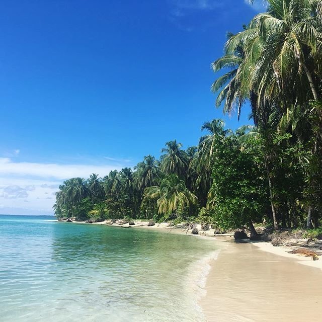 Learn Spanish In Bocas Del Toro With Habla Ya Bocas Del Toro Learn Spanish In Bocas Del Toro With Habla Ya Bocas Del Toro