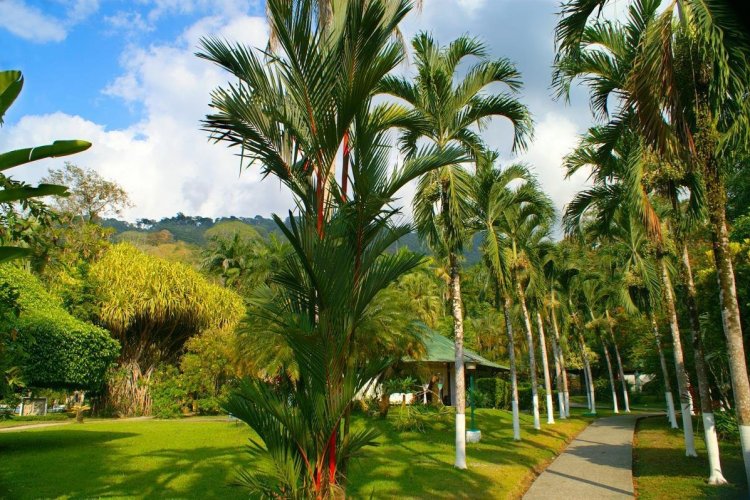 - © VILLAS RÍO MAR