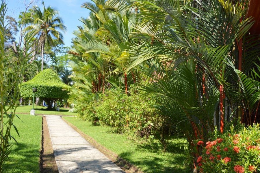 Costa Rica : les jardins tropicaux à l'honneur dans les éco-hôtels