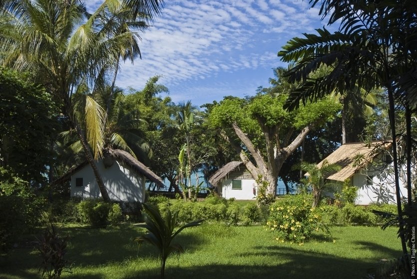 - © LE JARDIN MAORÉ