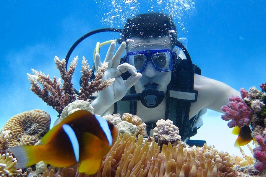 En avril, nager avec les raies Manta à Mayotte