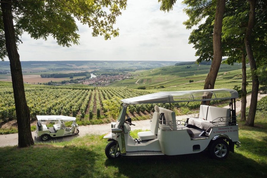 Le vignoble de Champagne, des visites insolites en pagaille